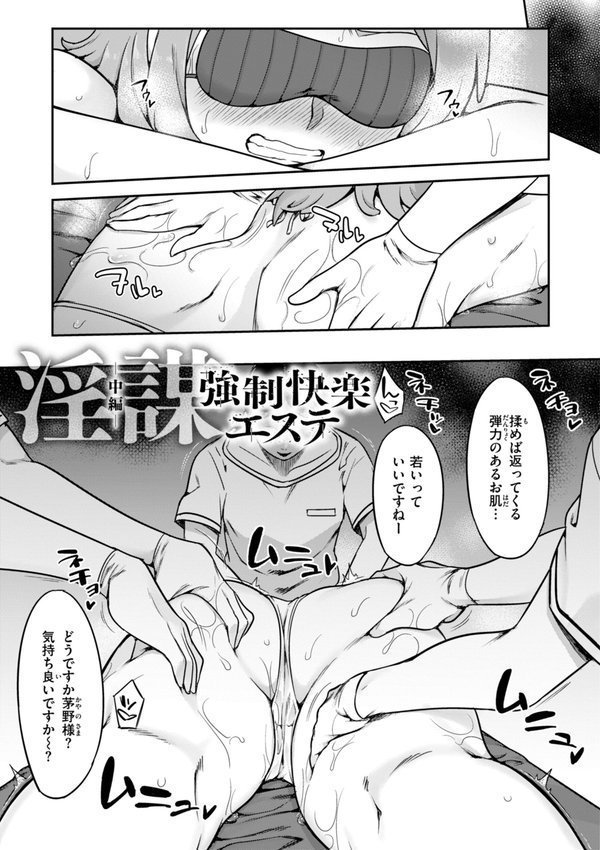 淫謀【デジタル版限定おまけ付き】【シャイン・ナビス】 エロ画像 021