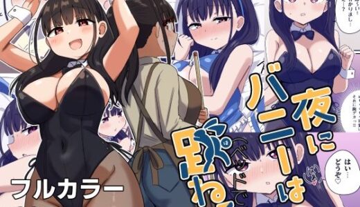 夜にバニーは（ベッドで）跳ねる【恋紙屋】